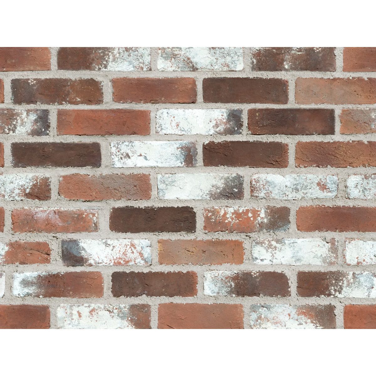 キャン'ブリック ボストン – ボウクス・タイルマーケット