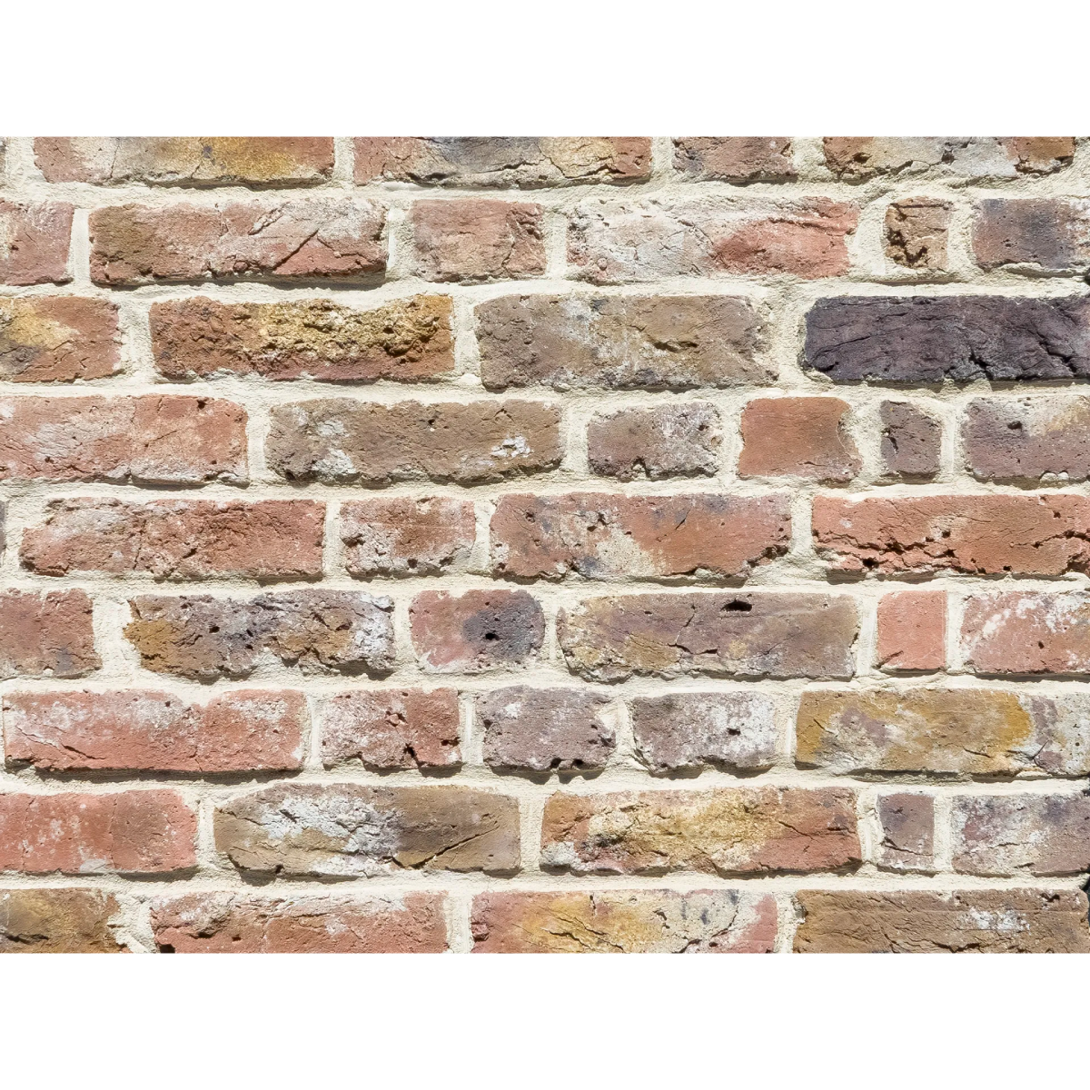 キャン'ブリック マンチェスター – ボウクス・タイルマーケット