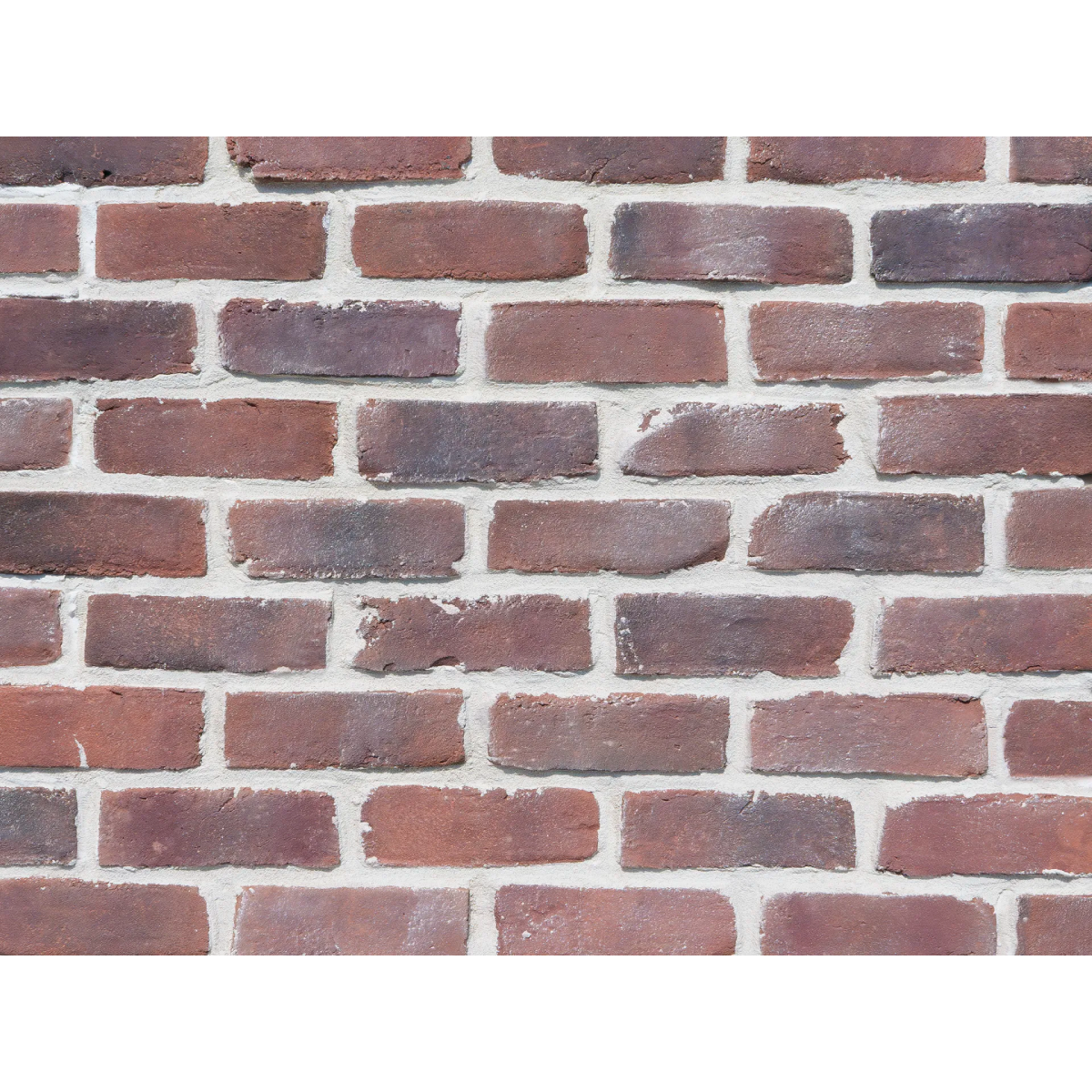 キャン'ブリック モンタナ – ボウクス・タイルマーケット