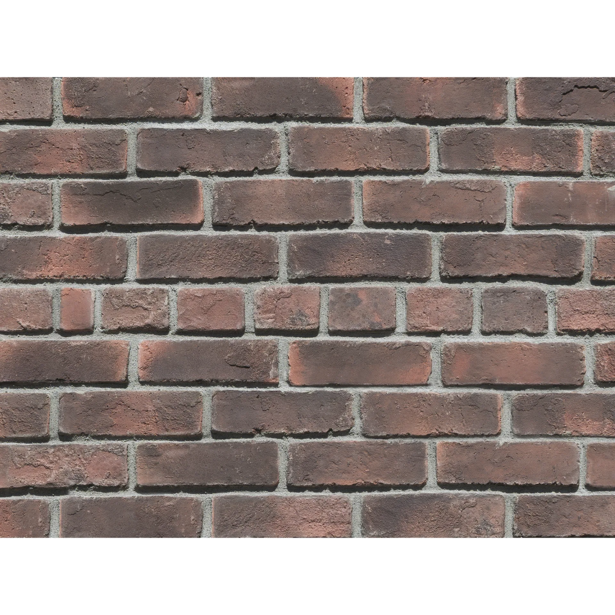 キャン'ブリック スタンダード – ボウクス・タイルマーケット