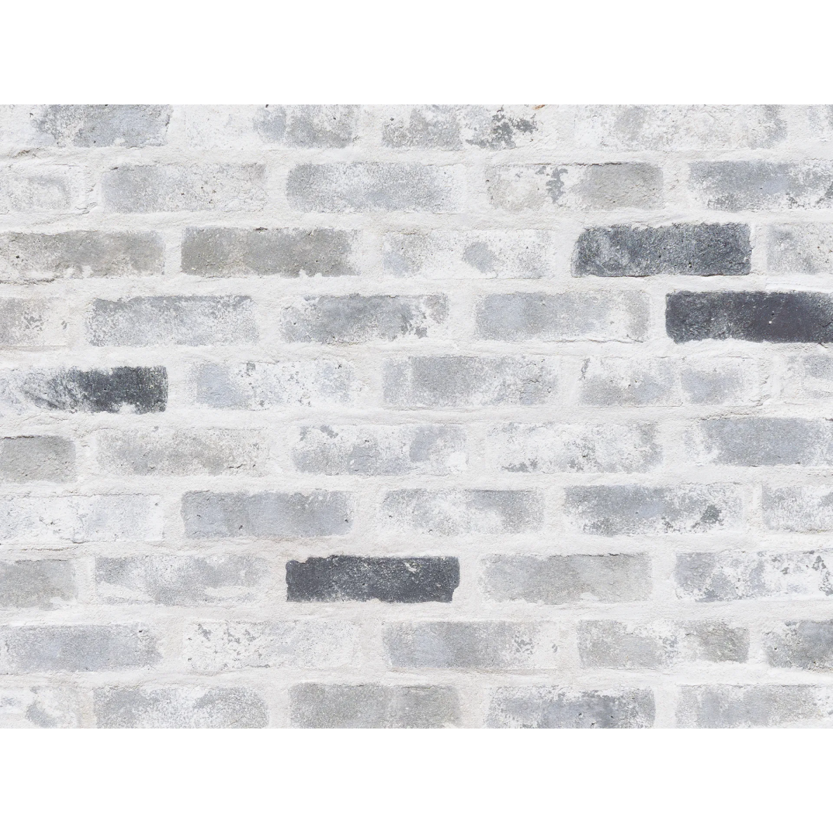 キャン'ブリック テキサスクレンショー – ボウクス・タイルマーケット