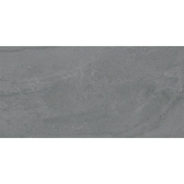 【こし】【超希少/近々値上げします】ゴアニアタイト化石　インテリア こし】【超希少/近々値上げします】ゴアニアタイト化石 インテリア