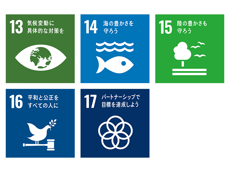 SDGs目標13～17：グローバルな課題
