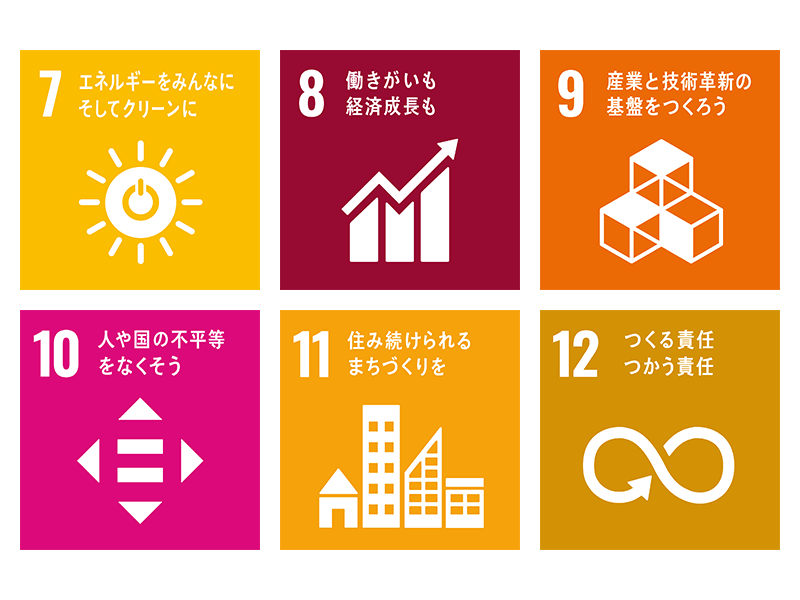 SDGs目標7～12：先進国を中心とした課題