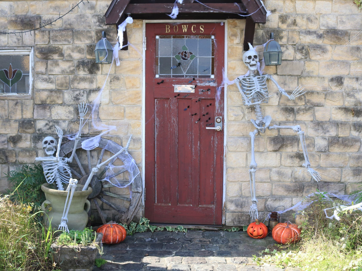 BOWCS Halloween2021 ~Halloween Skelton Party Night~