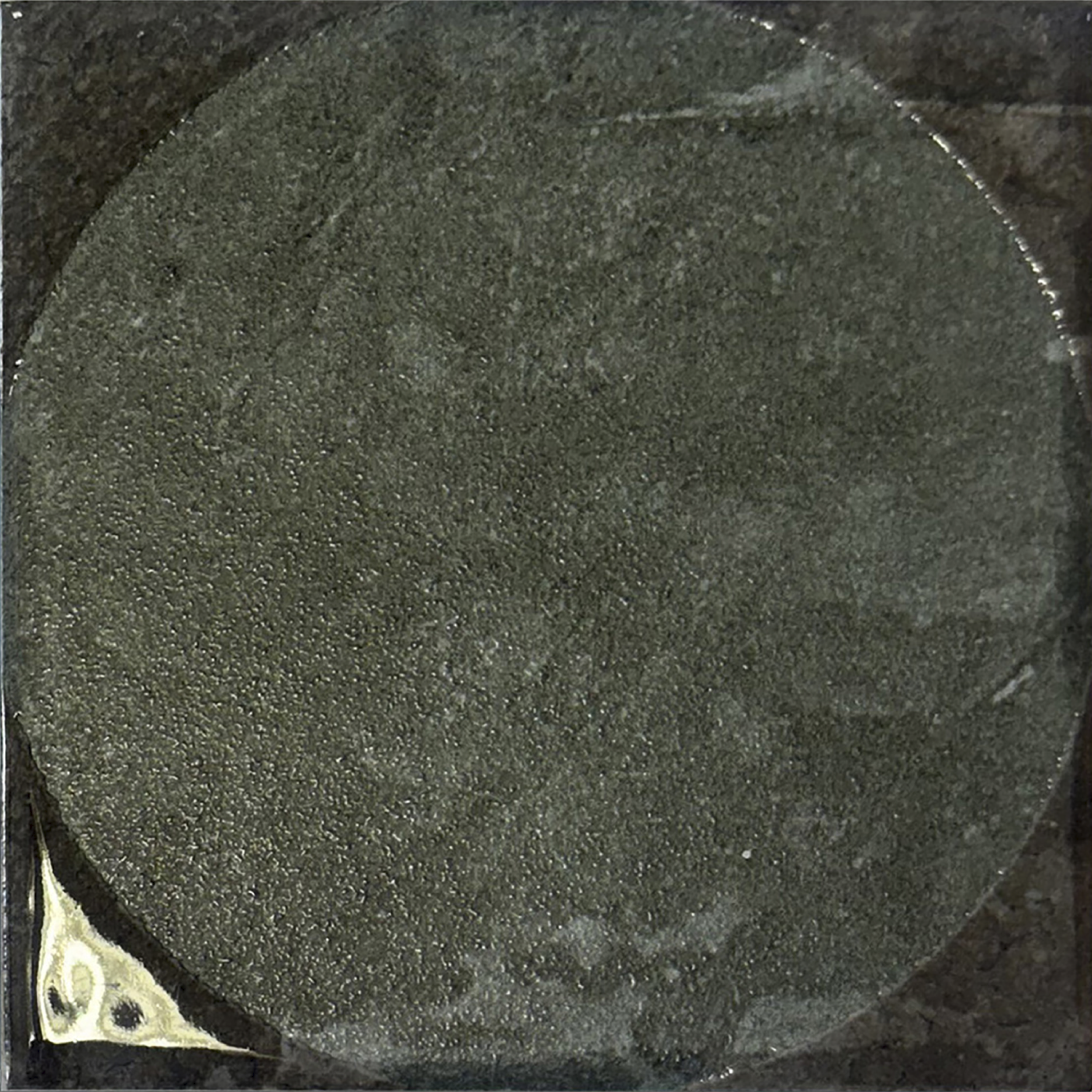 AMANTINA - アマンティナ（GIORGIA 5 DECORS - MIX 25）