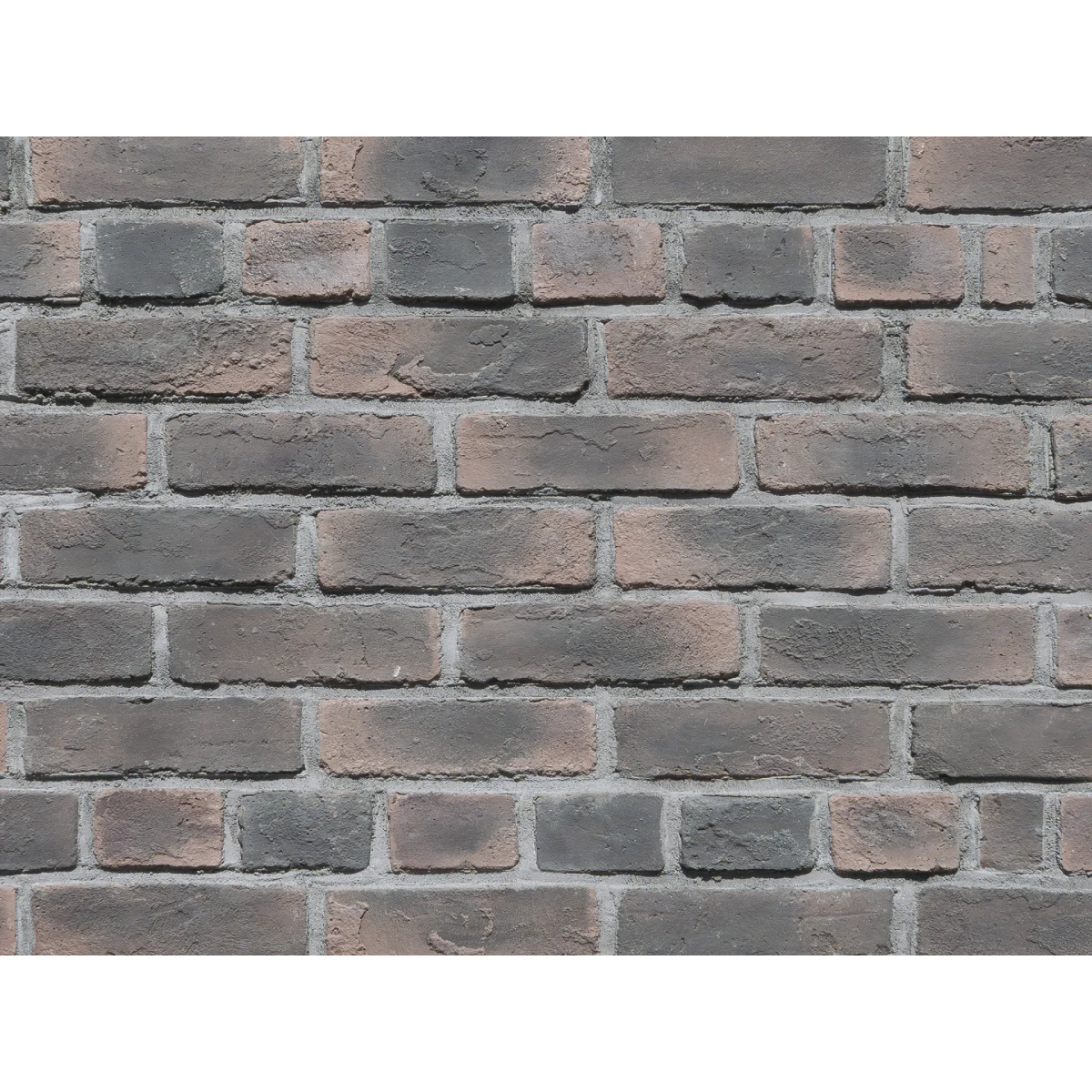 CAN'BRICK KURO BRI クロブリ BK-1