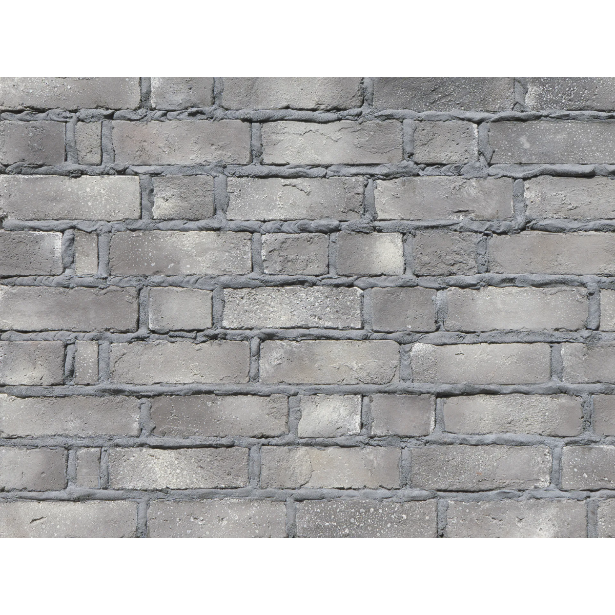 CAN'BRICK KURO BRI クロブリ BK-2