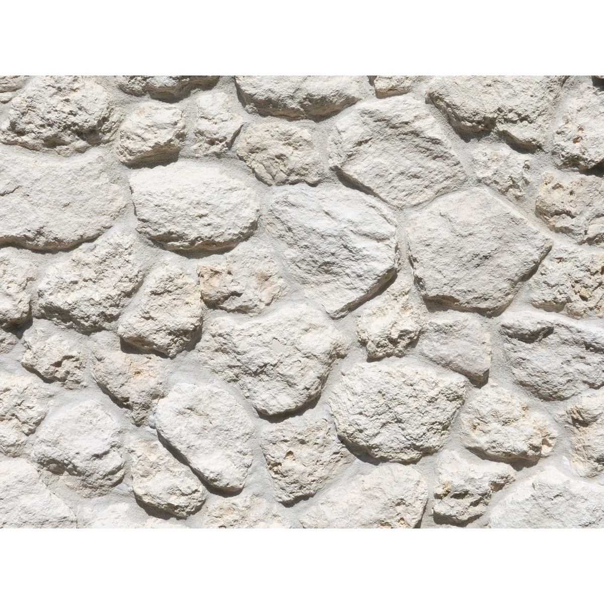 キャン’ストーン コーラル