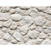 キャン’ストーン コーラル