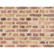 CAN'BRICK Netherlands ネザーランド NL-6