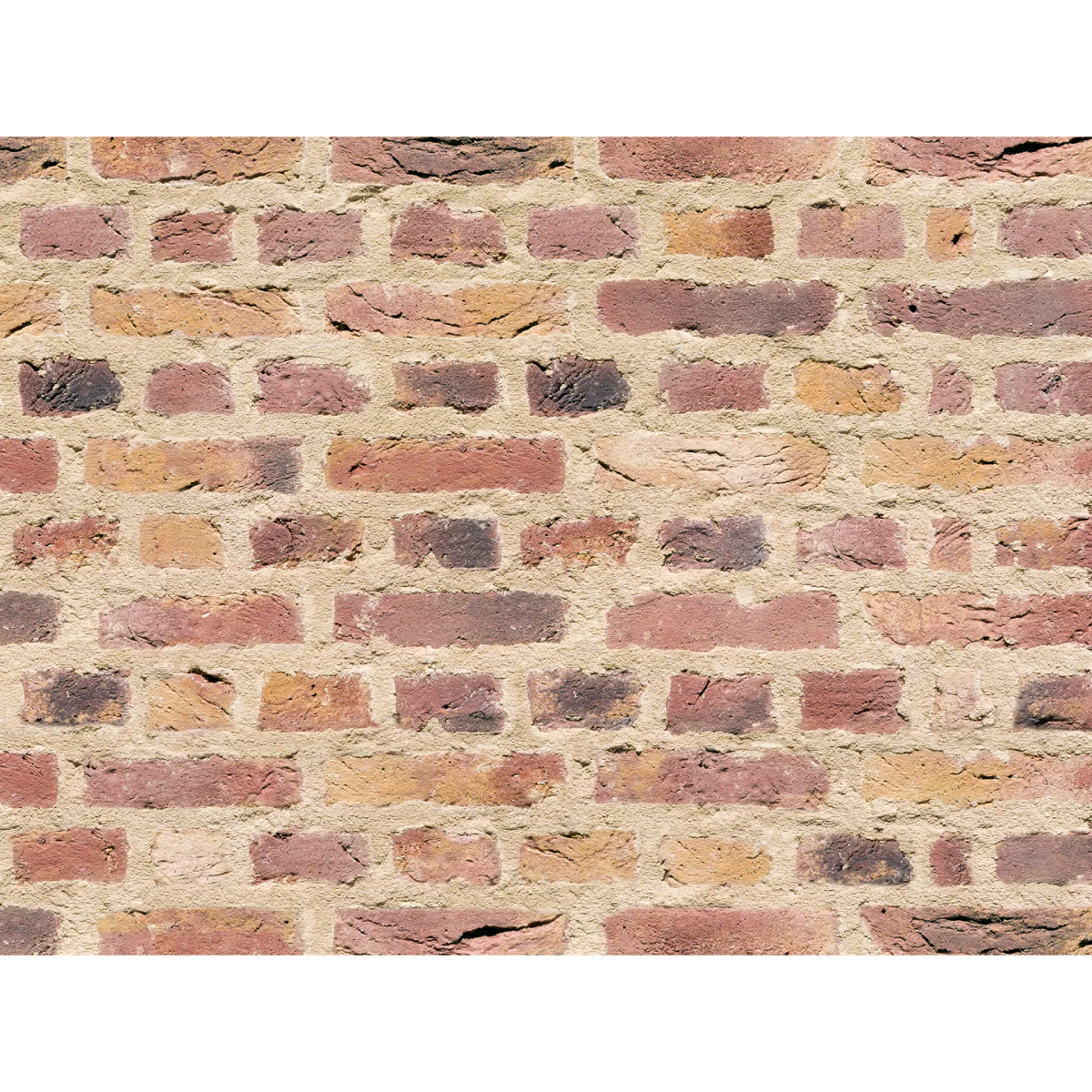 CAN'BRICK Netherlands ネザーランド NL-6