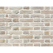 CAN'BRICK Netherlands ネザーランド NL-7