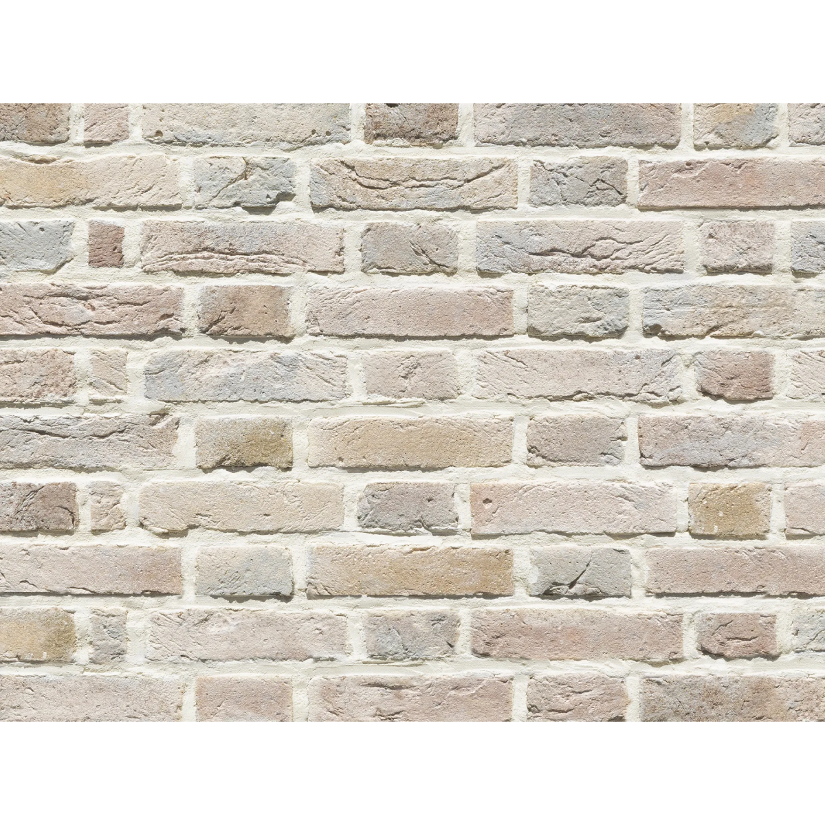 CAN'BRICK Netherlands ネザーランド NL-7