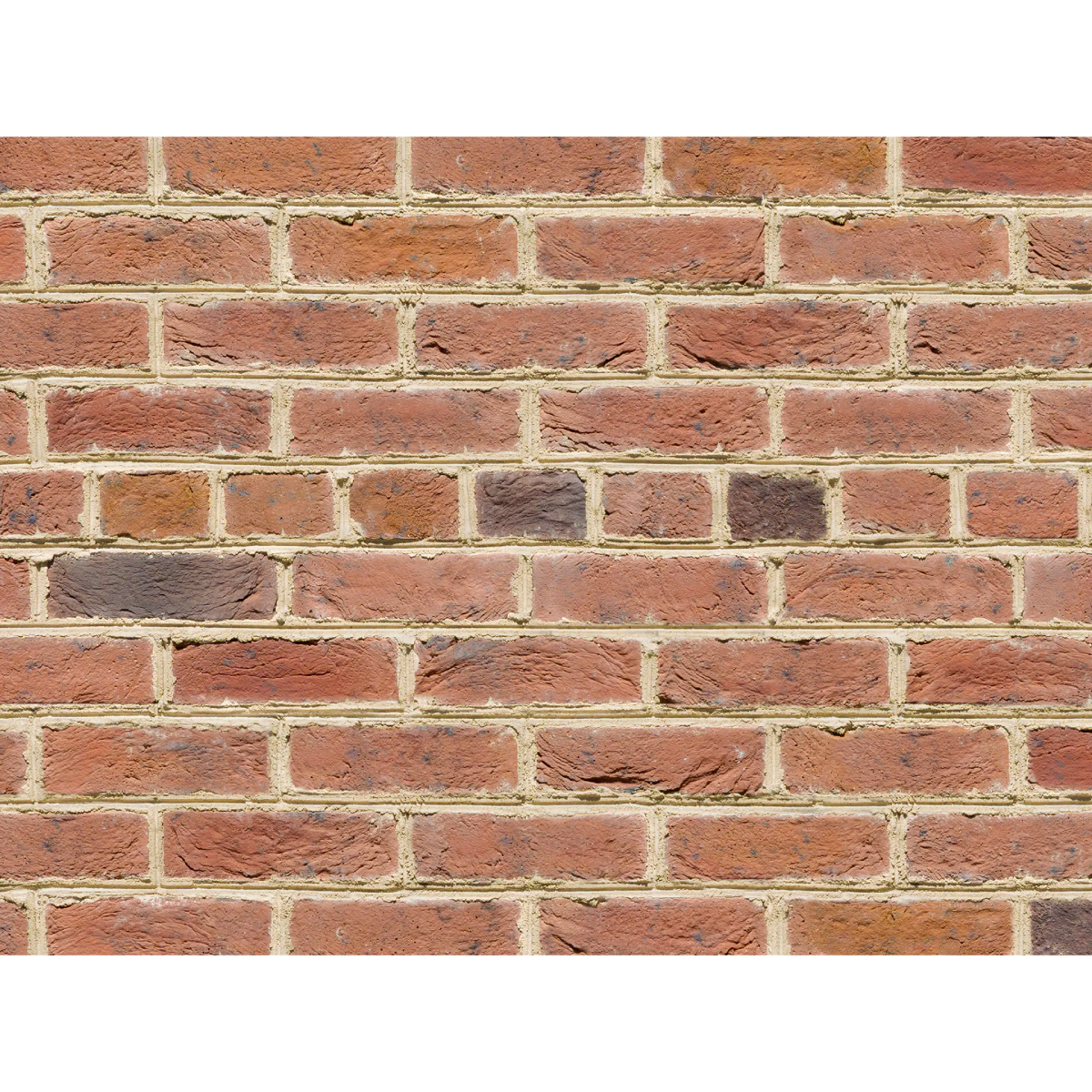 CAN'BRICK St.James セントジェームス SJ-5