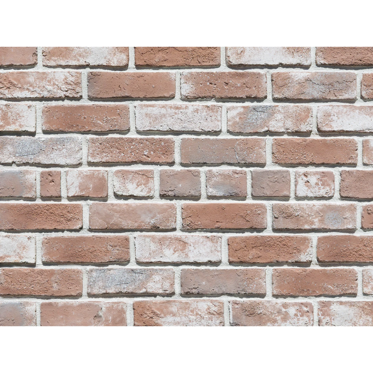 キャン'ブリック スタンダード – ボウクス・タイルマーケット