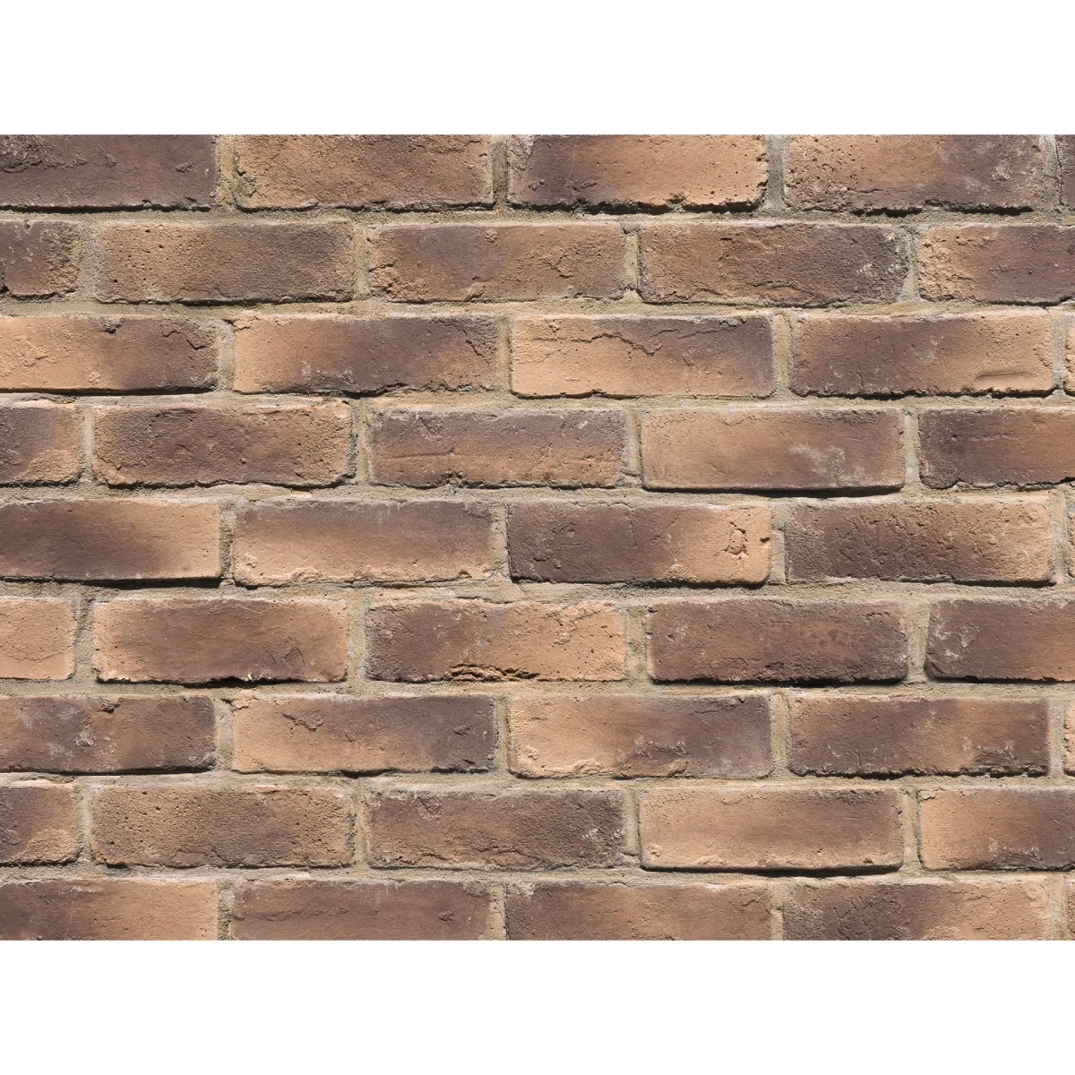 CAN'BRICK STANDARD スタンダード STD-20