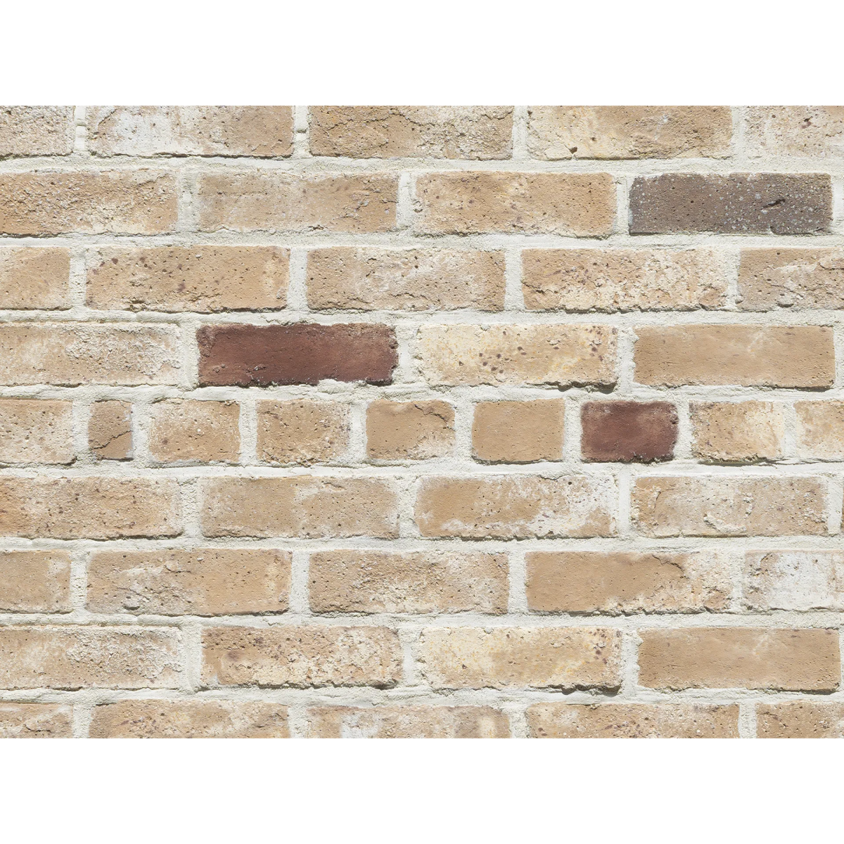 ビンテージ タイル デキャンタ ビンテージ タイル デキャンタ