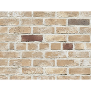 CAN'BRICK STANDARD スタンダード STD-25