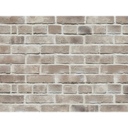 CAN'BRICK Texas テキサスクレンショーTX-1