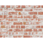 CAN'BRICK Texas テキサスクレンショーTX-5