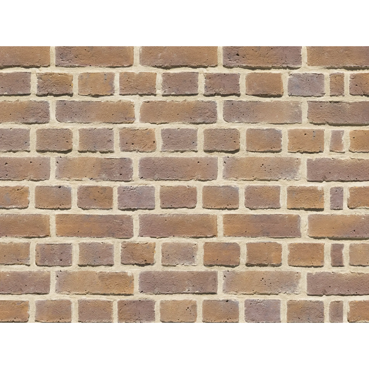 CAN'BRICK Texas テキサスクレンショーTX-6