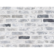 CAN'BRICK Texas テキサスクレンショーTX-7