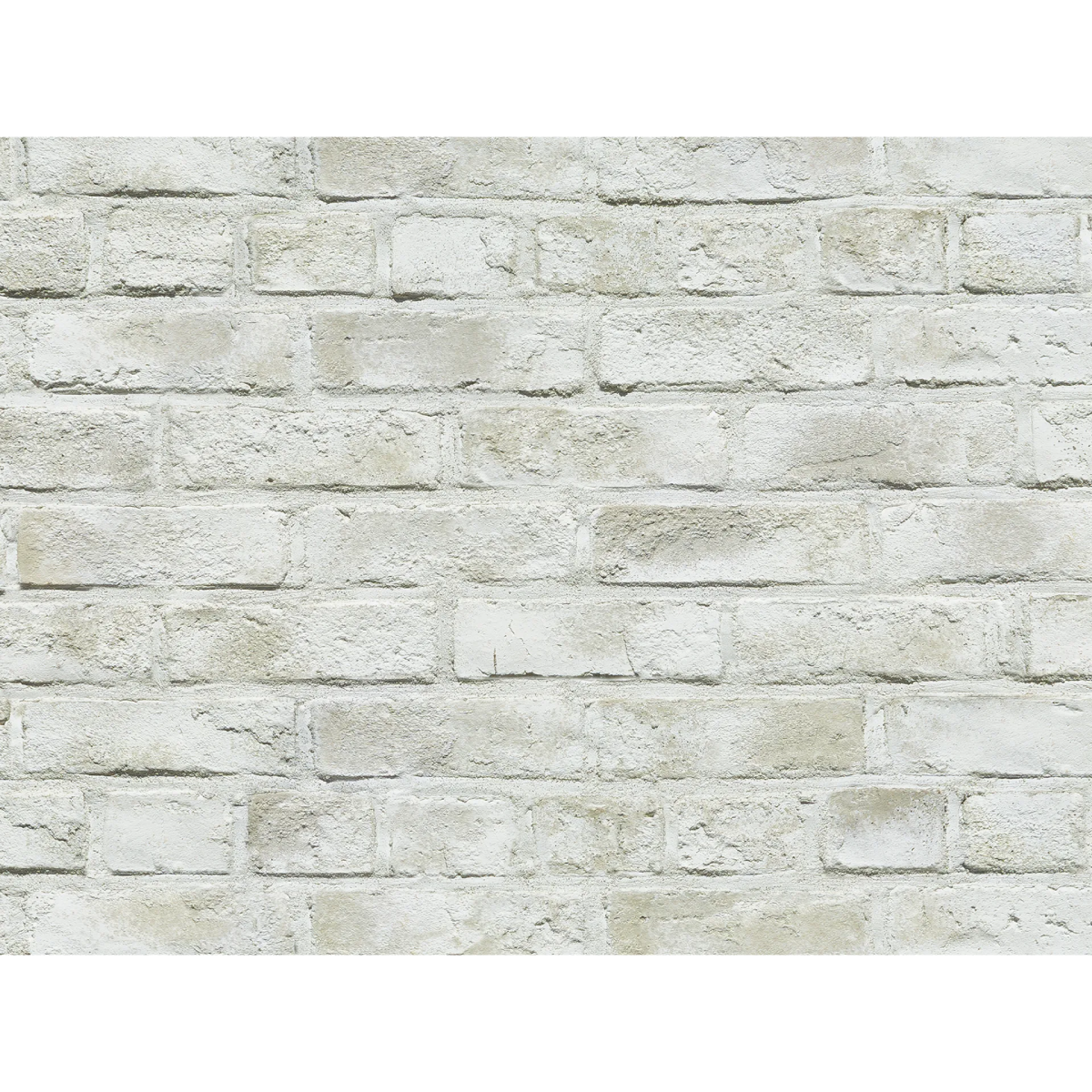 CAN'BRICK SHIRO BRI シロブリ WH-2