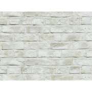 CAN'BRICK SHIRO BRI シロブリ WH-2