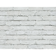 CAN'BRICK SHIRO BRI シロブリ WH-3