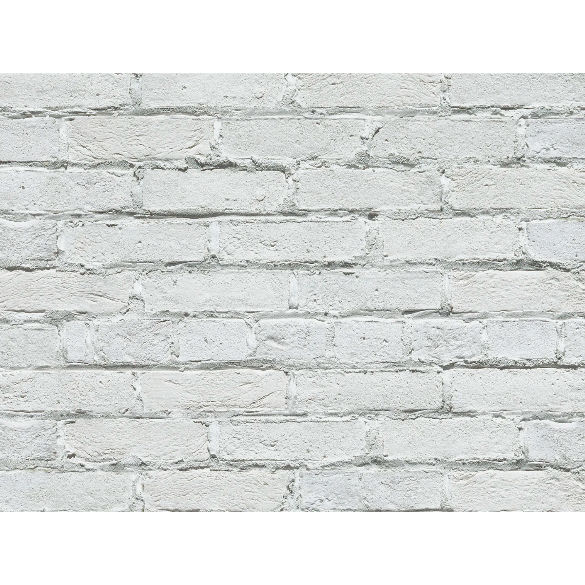 CAN'BRICK SHIRO BRI シロブリ WH-3