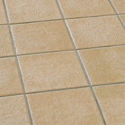 ニューペネトレート