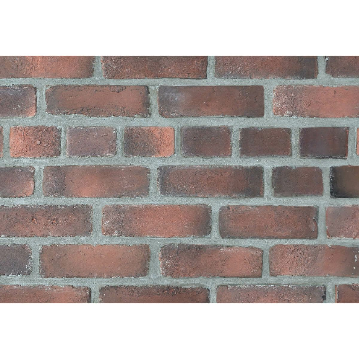 キャン’ブリック スタンダード