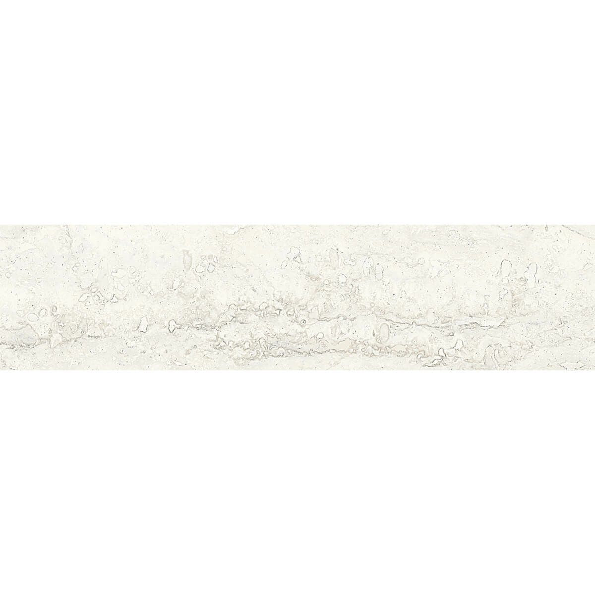 Invictus - インヴィクタス(White)