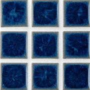 オーシャンブルーシリーズ