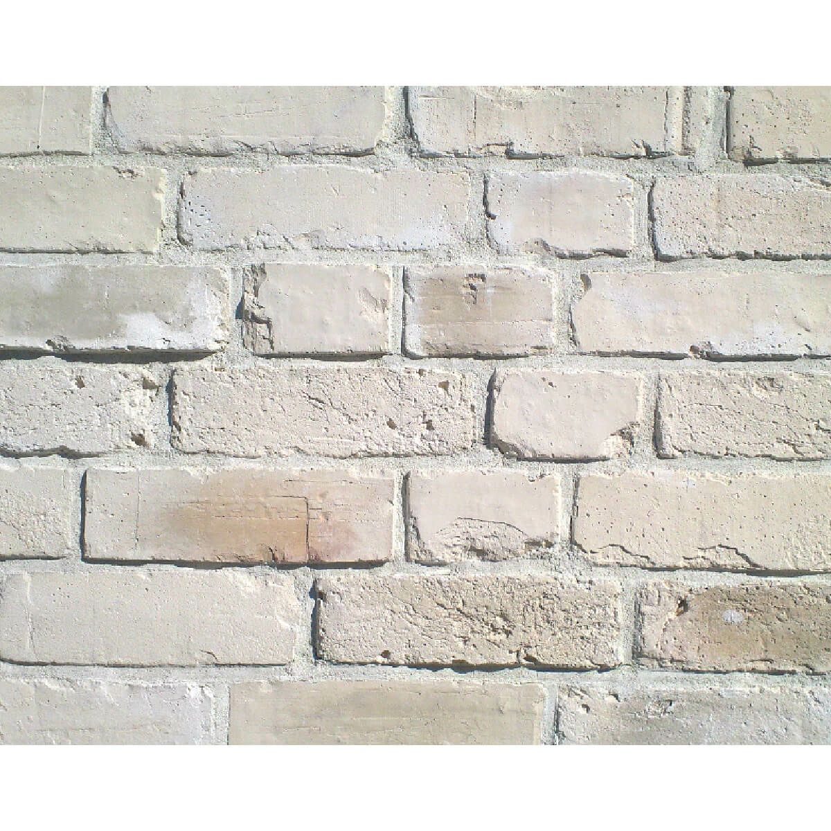 キャン’ブリック デザイナーズシリーズ