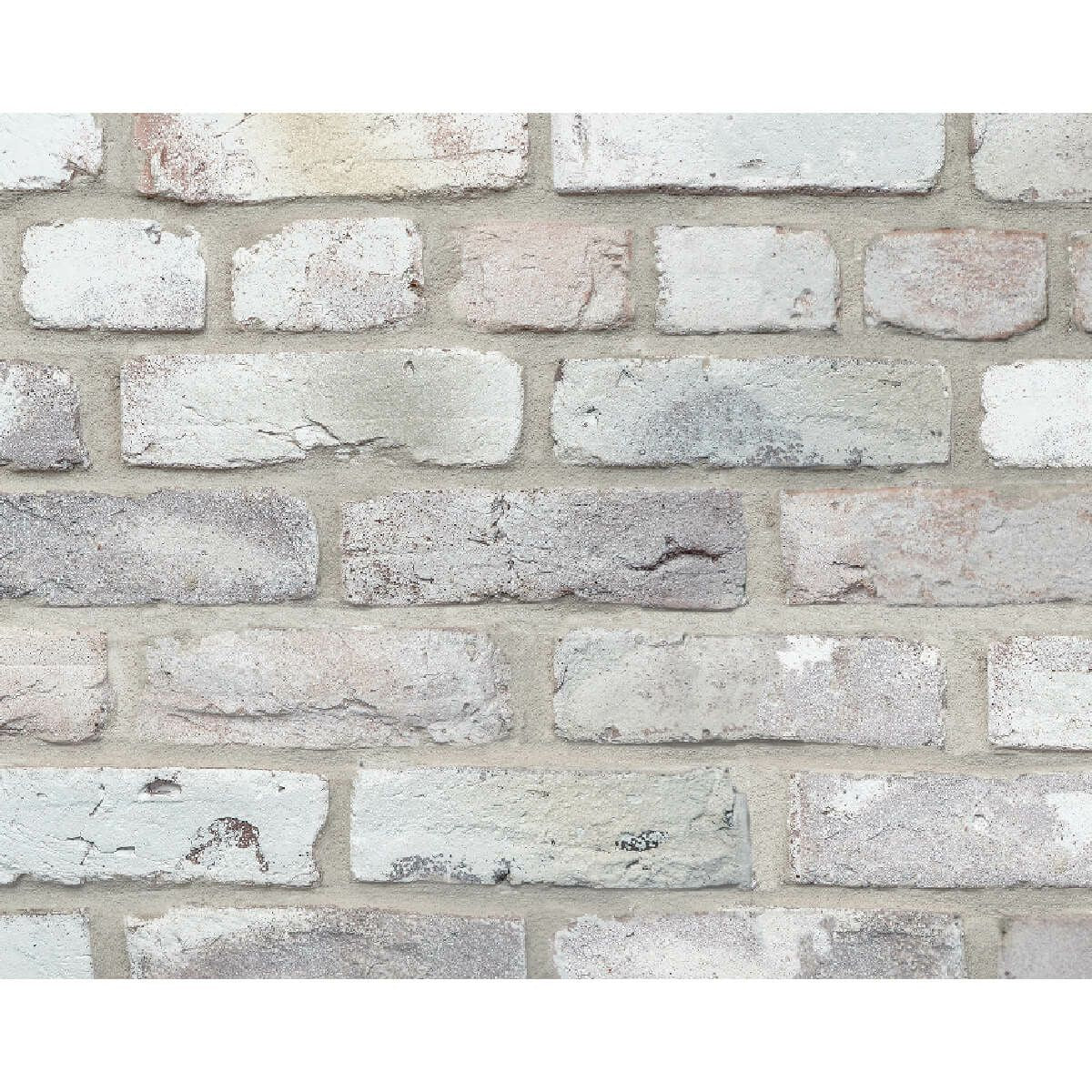 キャン’ブリック マンチェスター