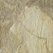 ［20%オフ］ナチュラル