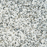 マルコポーロ（磨き）