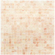 CELESTE - セレステ