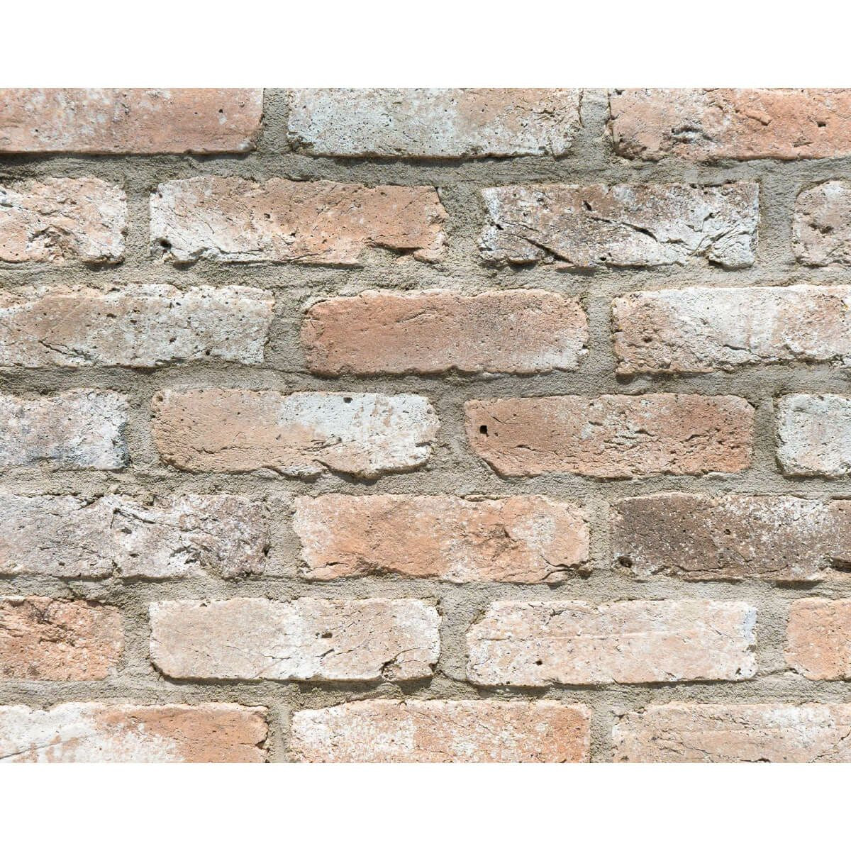 キャン’ブリック イングランド