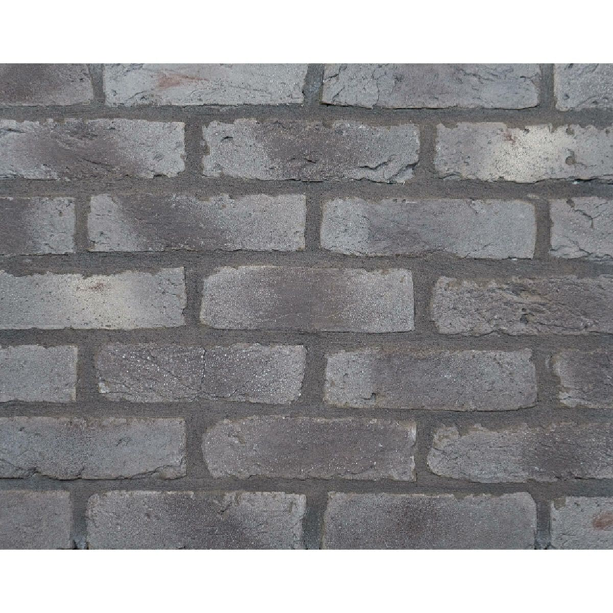 キャン’ブリック デザイナーズシリーズ