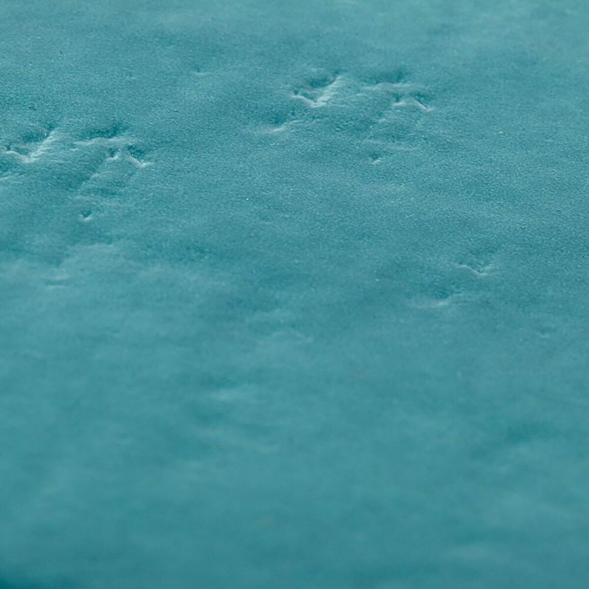 MARE NOSTRUM - マレ ノストラム（旧カヴァッロ）(GENOVA)