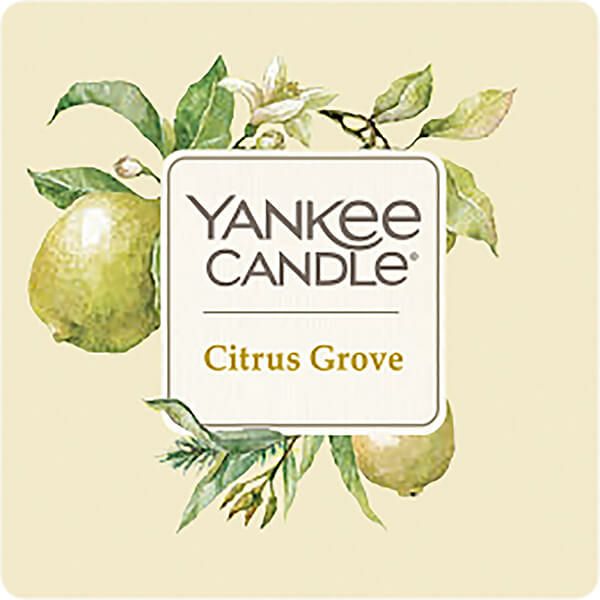 YANKEE CANDLE エレベーションジャーM アロマキャンドル（シトラスグローブ）  YK072-05-01