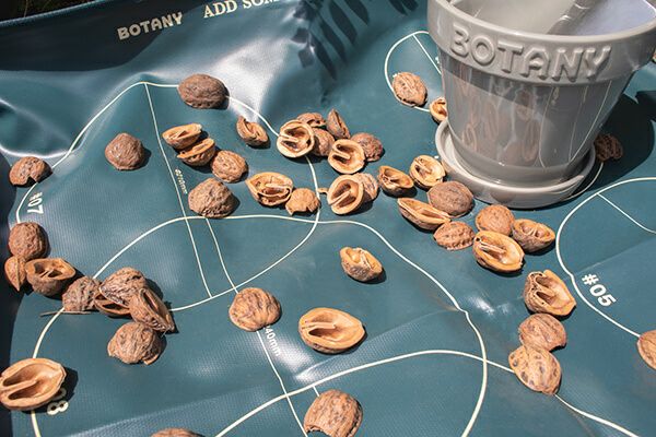 リポット シート S  G21-0389SGN