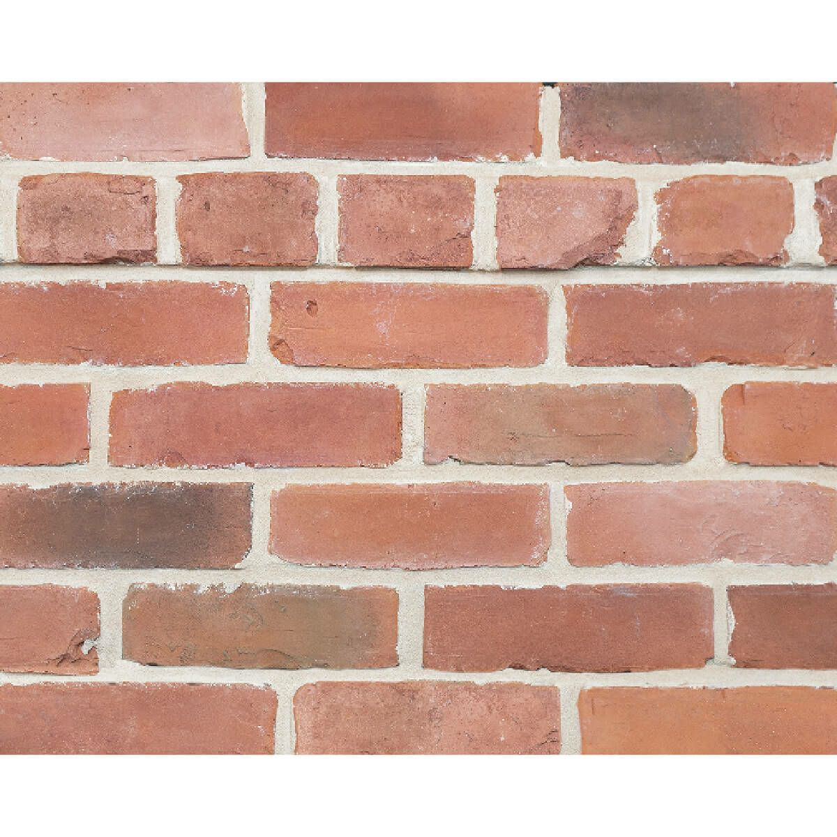 キャン’ブリック ケンブリッジ