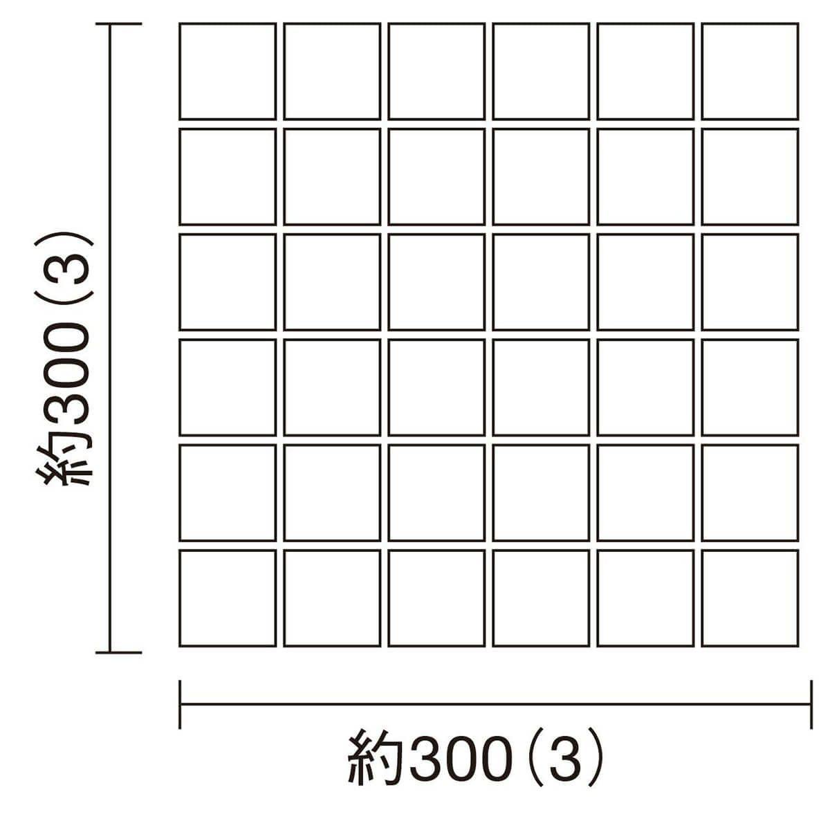 セリエビアンカII
