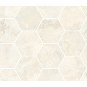 Invictus Cross - インヴィクタス クロス(White)