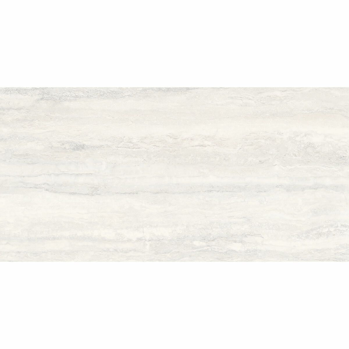 Invictus - インヴィクタス(White)