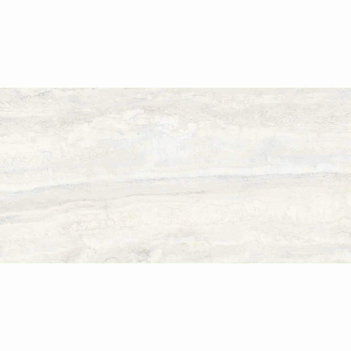 Invictus - インヴィクタス(White)